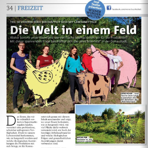 Vorschaubild auf den Artikel „Die Welt in einem Feld“, das das Team des WeltTellerFelds mit Josef Taucher bei den Tierfiguren am Feld zeigt.