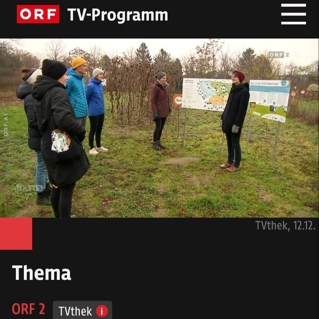 Das Vorschaubild zeigt einen Ausschnitt einer Führung am WeltTellerFeld in der Sendung ORF Thema vom 12. Dezember 2022.